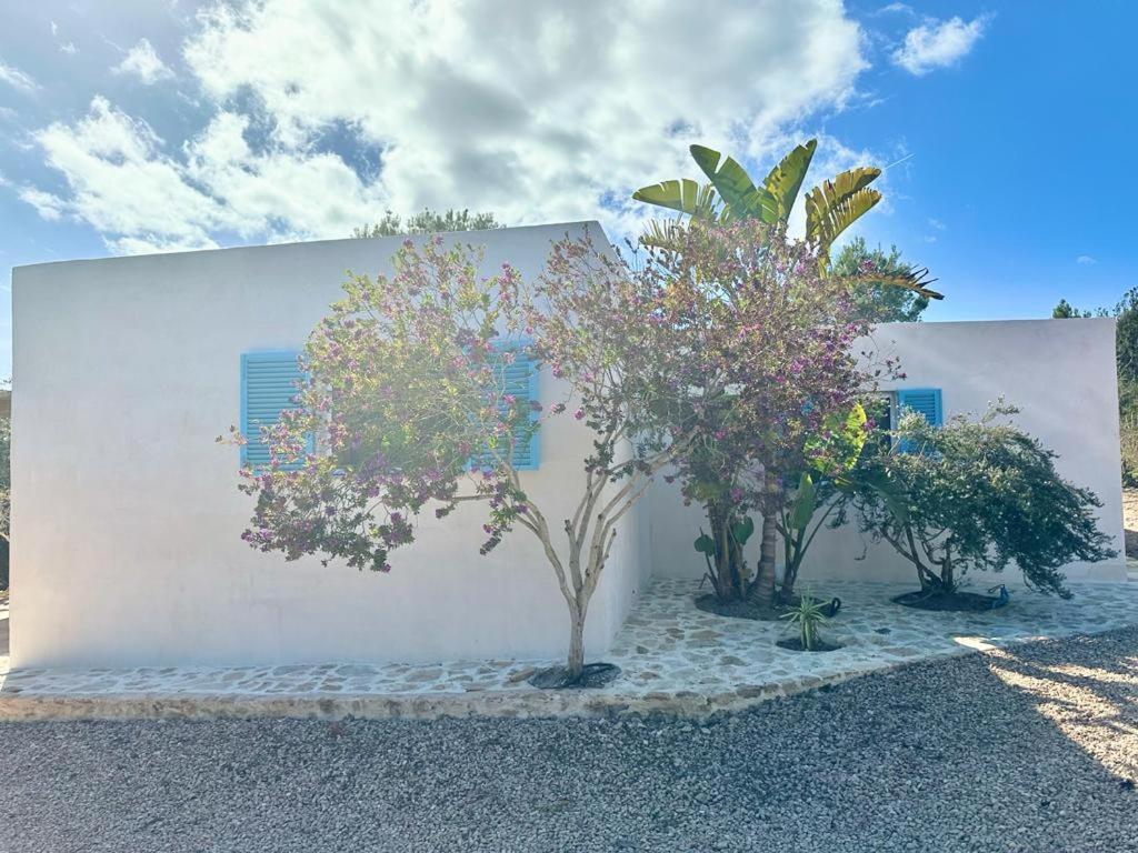 Casa Rustick Villa San Francisco Javier Bagian luar foto