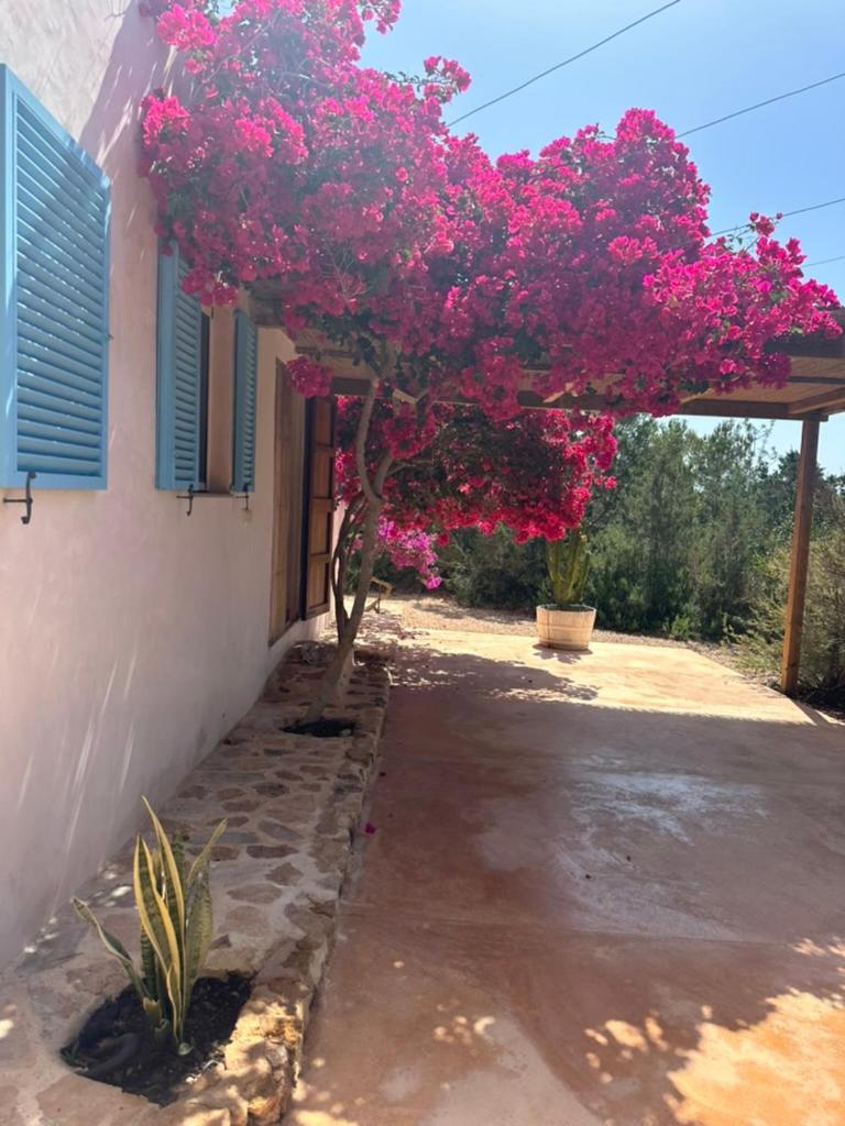 Casa Rustick Villa San Francisco Javier Bagian luar foto